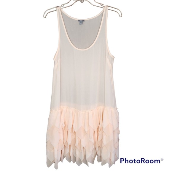 aerie Dresses & Skirts - Aerie Woman’s Light Pink Sheer Fairy Tutu Mini Dress Size Small